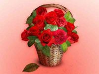 001-bascket-of-roses-vector