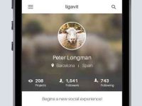 001-ligavit-social-ui-set-pack-template-flat-theme-psd_8