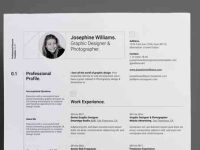 001-resume-portfolio-print-corporate-professional-vector-cv-vol-11