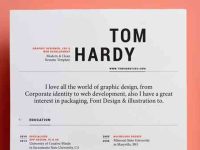 001-resume-portfolio-print-corporate-professional-vector-cv-vol-12