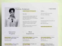 001-resume-portfolio-print-corporate-professional-vector-cv-vol-9