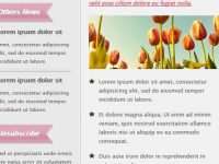 002-classiken-email-template-html-vintage-ribbon_2