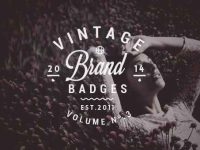 002-insignia-badges-collection-pack-kit-brand-vol-3_2