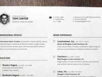 002-professional-resume-cv-vol2-print-profile-vector