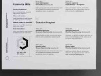 002-resume-portfolio-print-corporate-professional-vector-cv-vol-11
