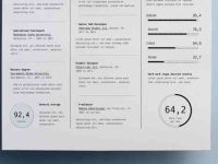 002-resume-portfolio-print-corporate-professional-vector-cv-vol-13