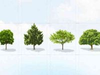 002-trees-vector-pack