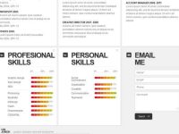 002_clean_white_style_resume_cv_html_2