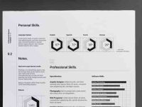 003-resume-portfolio-print-corporate-professional-vector-cv-vol-11
