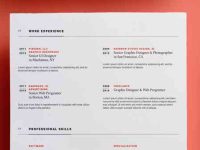 003-resume-portfolio-print-corporate-professional-vector-cv-vol-12