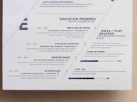 003-resume-portfolio-print-corporate-professional-vector-cv-vol-7