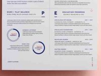 003-resume-portfolio-print-corporate-professional-vector