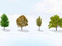 003-trees-vector-pack
