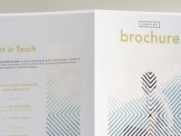 003-vertigo-brochure-half-fold-bi-fold-print-fashion-sorporate