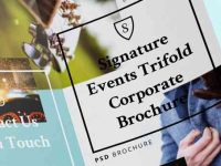 004-brochure-trifold-print-events-concert-festival-corporate-vector