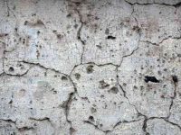 004-concrete-texture_INTERNATIONAL