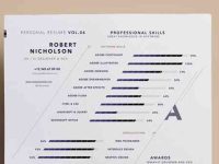 004-resume-portfolio-print-corporate-professional-vector-cv-vol-7