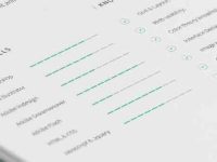 004-resume-template-theme-letter-a4-print-clean
