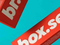 004-slim-box-boxes-container-packaging-identity-corporate-stationery-branding-graphic-design-psd-photoshop_2