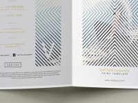 004-vertigo-brochure-half-fold-bi-fold-print-fashion-sorporate