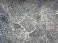 005-concrete-texture_INTERNATIONAL