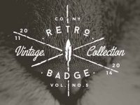 005-insignia-badges-collection-pack-kit-brand-vol-5