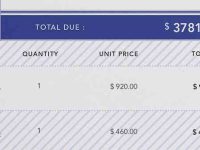 005-invoice-bill-pay-professional-template-print