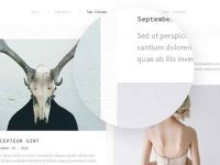 005-molly-corporate-portfolio-theme-template-web-psd-fashion-light-clean_5