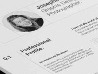005-resume-portfolio-print-corporate-professional-vector-cv-vol-11