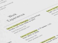005-resume-portfolio-print-corporate-professional-vector-cv-vol-9