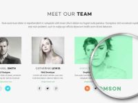 006-gredy-start-up-framework-template-web-psd-flat_6