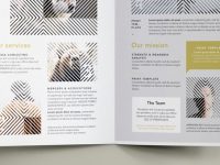 006-vertigo-brochure-half-fold-bi-fold-print-fashion-sorporate
