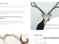 008-molly-corporate-portfolio-theme-template-web-psd-fashion-light-clean_8