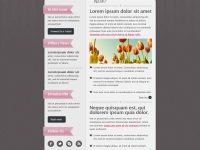 classiken-html-newsletter-template_full_preview_4