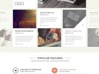 molly-corporate-psd-website_full_preview_6