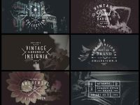 vintage-badges-presentation-vol-3_full_preview_7